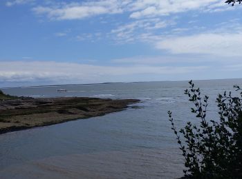 Tocht Stappen Royan - sentier des douaniers  - Photo