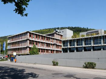 Tour Zu Fuß Wiesenbach - Rundwanderweg Drei-Hasen-Hütte 3: Nonnenbrunnen-Weg - Photo