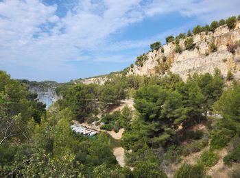 Randonnée Marche Cassis - Calanques de Port Miou, Port Pin et d'En Vau - Photo