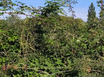 Randonnée Vélo de route Chalon-sur-Saône - Vélo Barizey...  - Photo