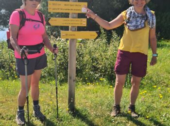 Trail Walking Camoël - rando 3 du 11 juin 2021 - Photo