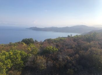 Tour Wandern Belgodère - Boucle Lozari - plage ostreconi : désert dès agriates  - Photo