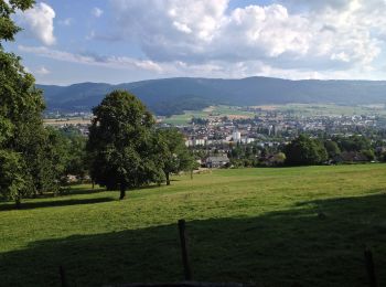 Tour Zu Fuß Courroux - Vadry - fixme - Photo