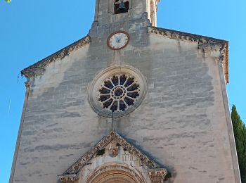 Tour Wandern Villes-sur-Auzon - entre Auzon et le GR du massif du Ventoux - Photo