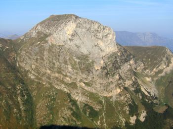 Trail On foot Roccaforte Mondovì - G2 - Photo