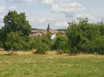 Randonnée Marche Kerbach - Le petit tour de kerbach - Photo