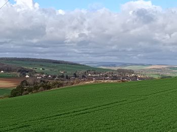 Trail Walking Bucey-en-Othe - Balade autour de Bicey - Photo