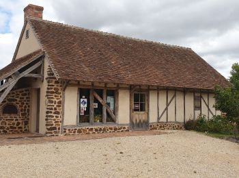 Tocht Stappen Vailly-sur-Sauldre - Vaille sur Sauldre 18 - Photo