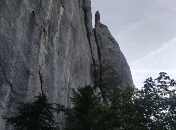 Tocht Stappen Plan-d'Aups-Sainte-Baume - Plan d'Aups La Sainte Baume l'ajouco de l'aigle - Photo