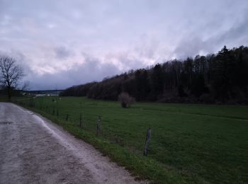 Trail Walking Vouthon-Haut - Sus au foie gras et au sauterne - Photo