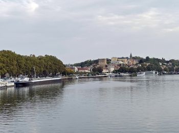 Tour Wandern Saint-Germain-en-Laye - GRP CV-IDF 2023 - Photo