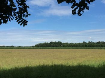 Percorso Marcia Tintigny - À l’ombre de la forêt gaumaise  - Photo