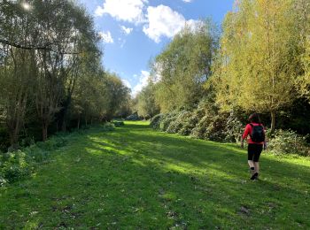 Tour Wandern Lasne - RB 11 Plancenoit - Lasnes - Photo