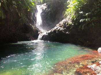 Excursión Senderismo Bouillante - Cascade bois malasé - Photo