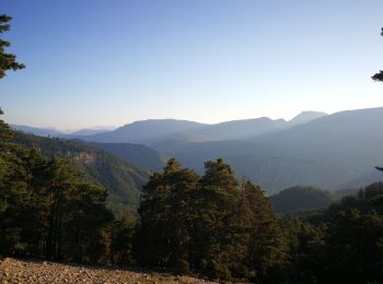 Tocht Stappen Brantes - Brantes-Ventoux-Frache-Brantes-Bis - Photo