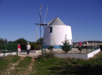 Trail On foot Paderne - Percurso do Castelo - Photo