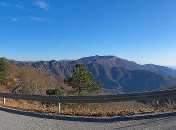 Tour Zu Fuß Moconesi - Cicagna - Passo della Scoglina - Photo