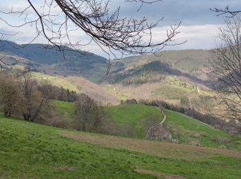 Randonnée V.T.T. Fréland - Voirimont Barlin Chamont - Photo