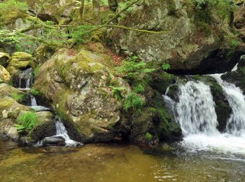 Tour Reiten Le Tholy - 2022-06-01 Rando CVA Le Tholy Boucle Cascades du Tendon - Photo