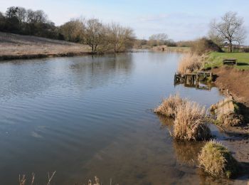 Percorso A piedi Wychavon - Eckington Wharf Circular Walk - Photo