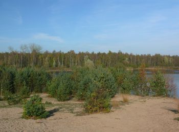 Percorso A piedi Lommel - Sahara Oranje bol - Photo