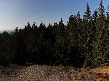 Trail On foot Kreuztal - Littfeld über Kreuzbank zum Altenberg - Photo