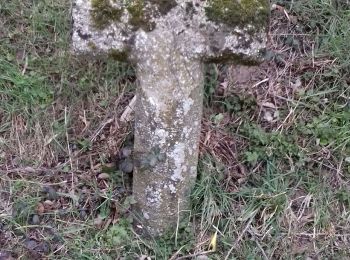 Tocht Stappen La Chapelle-au-Riboul - la Chapelle au Riboul - Photo