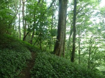 Tocht Te voet Malvern Hills - Abberley Circular Walk - Photo