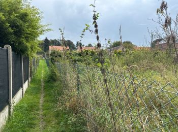 Tocht Stappen Vloesberg - Flobecq 15,1 km - Photo