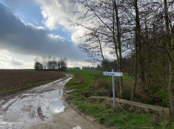 Tour Wandern Villers-la-Ville - Promenade du Vieux Chemin par Jumerée - Photo