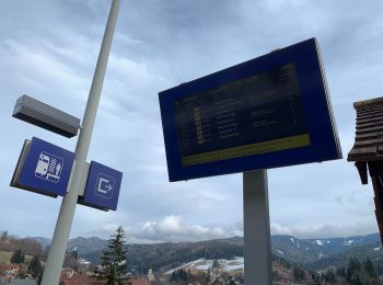 Tocht Te voet Gemeinde Spital am Semmering - Wanderweg 4 - Grauschenhof - Anschluß an Wanderweg 5 & 6 (Nähe Räuberhöhle) - Photo