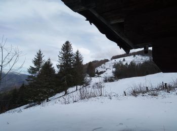 Excursión Raquetas de nieve Sewen - SewenWissgrutFennmatt - Photo