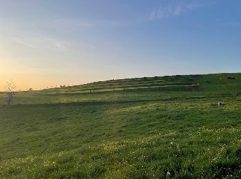 Excursión Marcha nórdica Saint-Léger - Marche dans l'après-midi - Photo