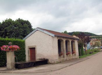 Randonnée A pied Bouxières-aux-Bois - Circuit des Fontaines et Lavoirs - Photo