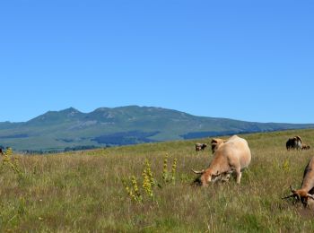 Excursión Senderismo Égliseneuve-d'Entraigues - Egliseneuve_Entraigues_Cime_Pres - Photo