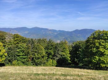 Randonnée Marche Bourbach-le-Haut - Hundsruck - Photo