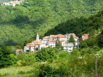 Tour Zu Fuß Casella - Avosso - Casa del Piccetto - Photo