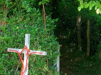 Tocht Stappen Dison - 4821 Andrimont (Verviers) 15Km marche adeps du 15/05/2022 - Photo