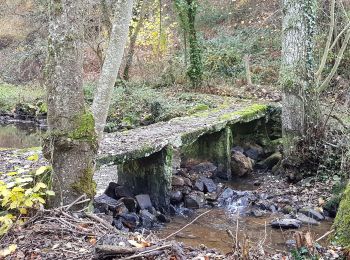 Percorso A piedi Saint-Pierre-des-Nids - Boucle du Moulin de Campas - Photo