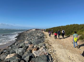 Tocht Stappen Saint-Clément-des-Baleines - Saint clement les baleines - Photo