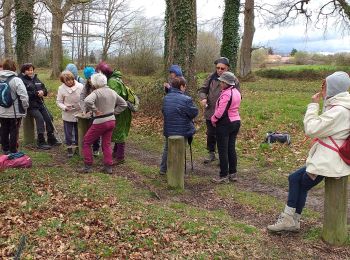 Excursión Senderismo Bordères-sur-l'Échez - boiduc est fait - Photo