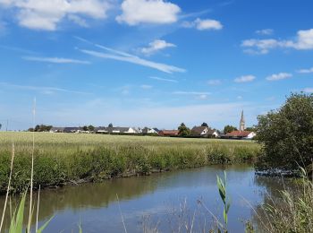 Tocht Stappen Hondschote - Champs de lin - Photo