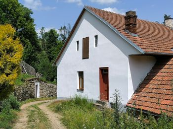 Excursión A pie Dolní Heřmanice - naučná stezka Okruh Nesměřským údolím - Photo