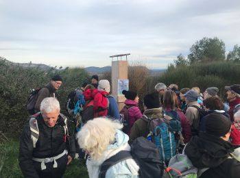 Tocht Stappen Montaud - Bois de Montlaur - Photo