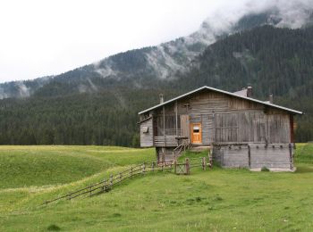 Trail On foot San Pietro di Cadore - IT-158 - Photo