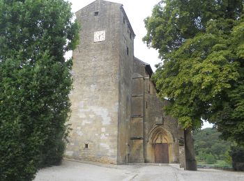 Trail On foot Longuyon - Quatre Fermes - Photo