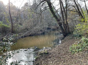 Trail Walking Saint-Médard-en-Jalles - Biges-gravettes - Photo