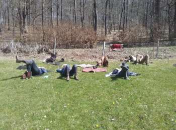 Tour Reiten Libin - Smuid- Willerzie  - Photo