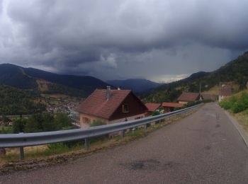 Tour Mountainbike Büssing - activity_9407679223 - Photo