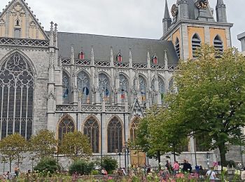 Tocht Stappen Luik - cathédrale chartreuse retour  - Photo